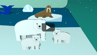 Les animaux de l'Arctique